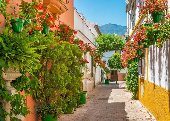 Estepona, Walk To And Old Town *